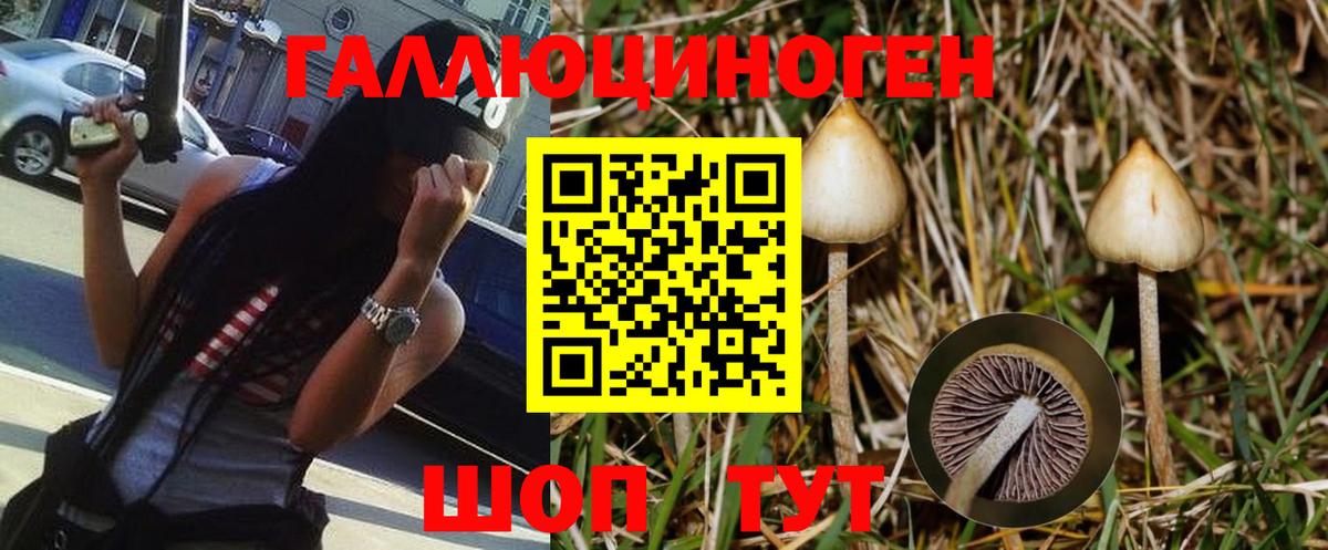 Псилоцибиновые грибы MAGIC MUSHROOMS Шатура