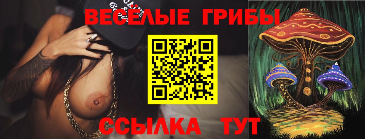 Шатура  Псилоцибиновые грибы Cubensis  хочу наркоту  Вход с VPN  Галлюциногенные грибы мухоморы 